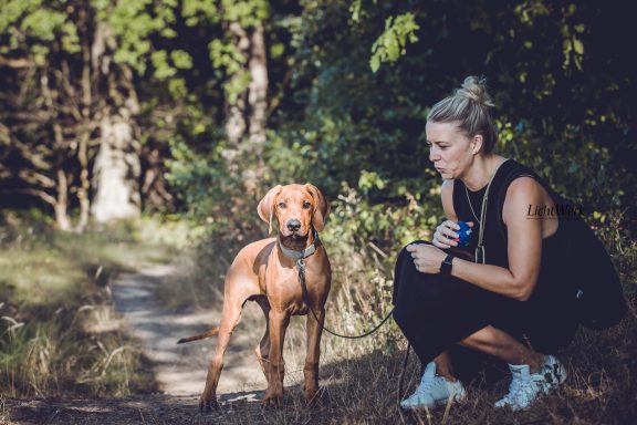 Hudson Hawk Sangoma Wavulanawangu Ridgeback Welpe