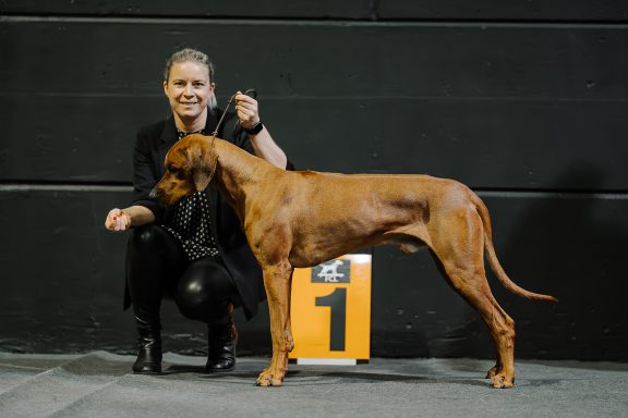 Hudson Hawk Sangoma Wavulanawangu Rhodesian Ridgeback Deckrüde